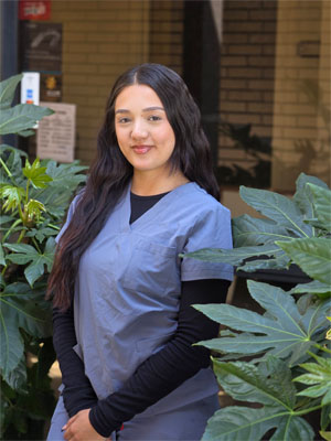Dentist Staff #2 - Union City, CA